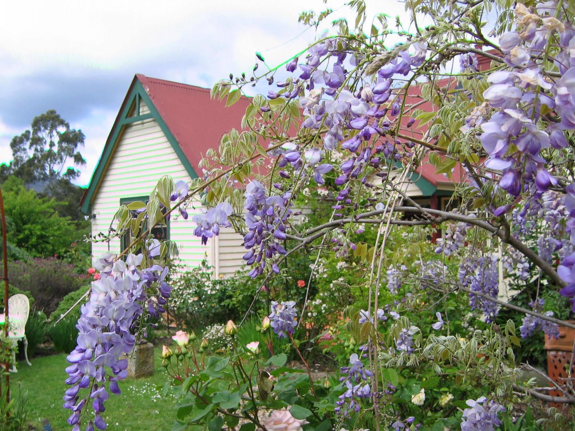 Crabtree House Bed & Breakfast Grove Eksteriør bilde
