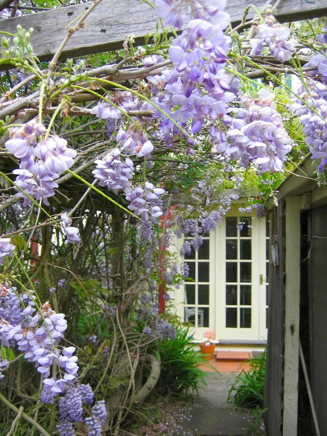 Crabtree House Bed & Breakfast Grove Eksteriør bilde