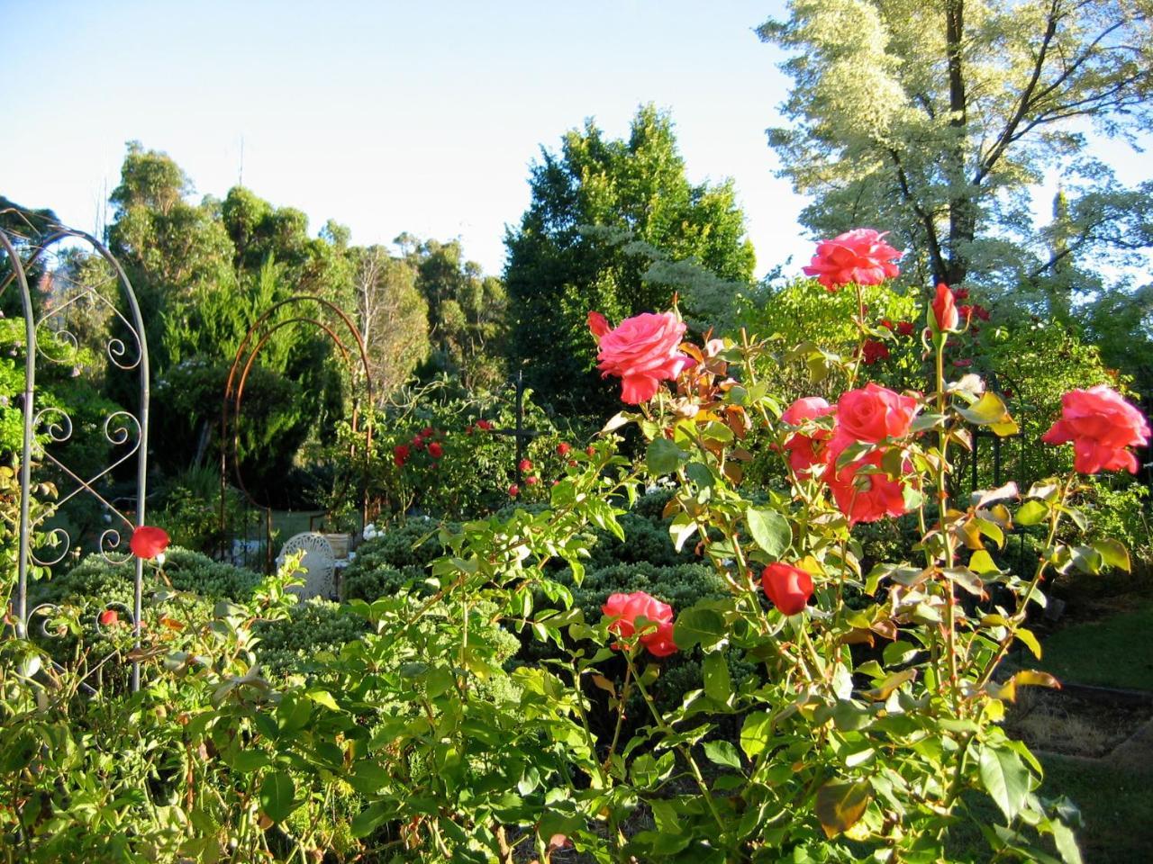 Crabtree House Bed & Breakfast Grove Eksteriør bilde